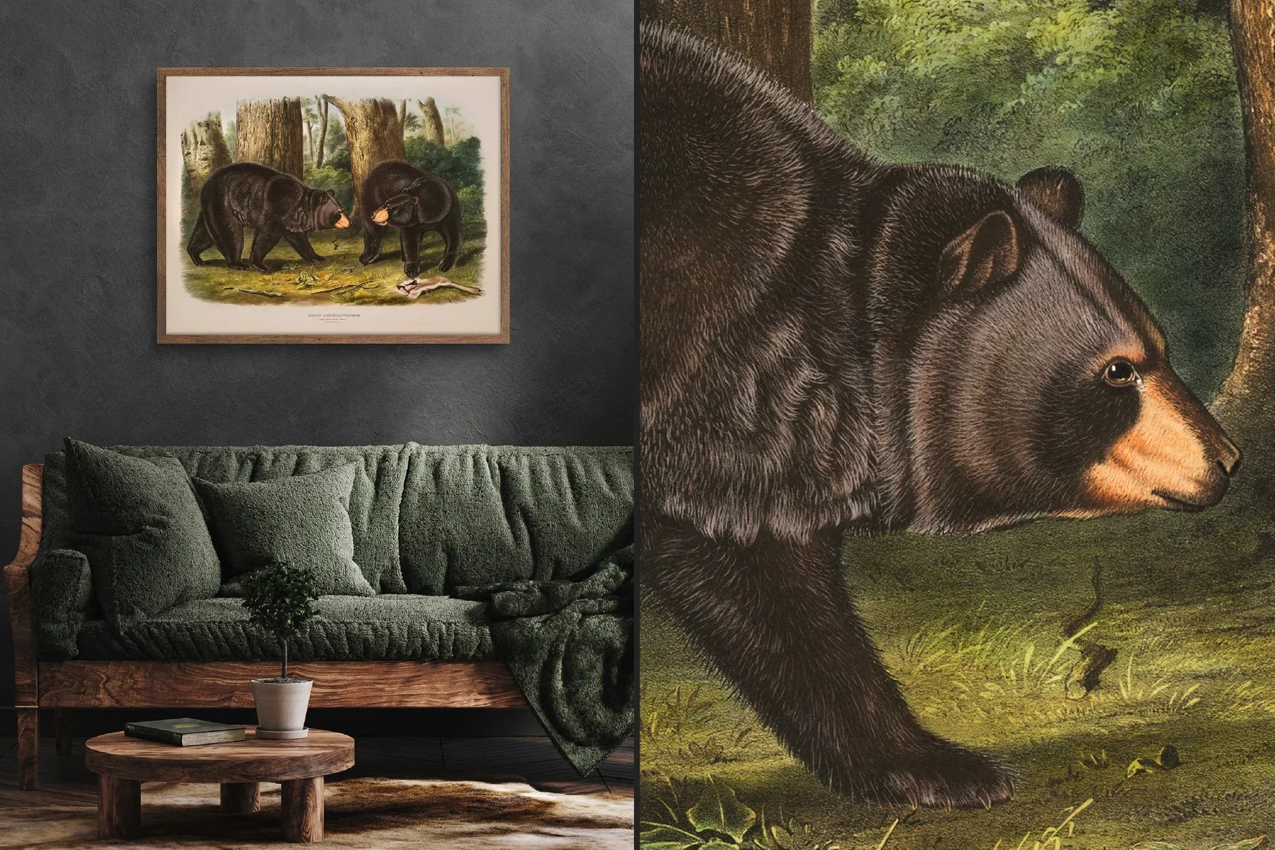 25 Vintage Mammal Prints — The Object Atlas